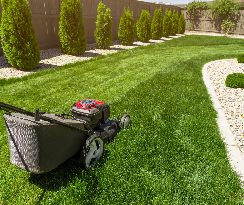 Kosiarki, piły, sekatory, węże i pompy